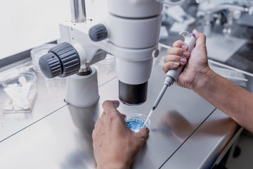 A person using a pipette to transfer liquid into a petri dish under a microscope