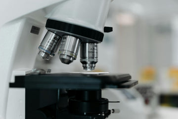 microscope close-up