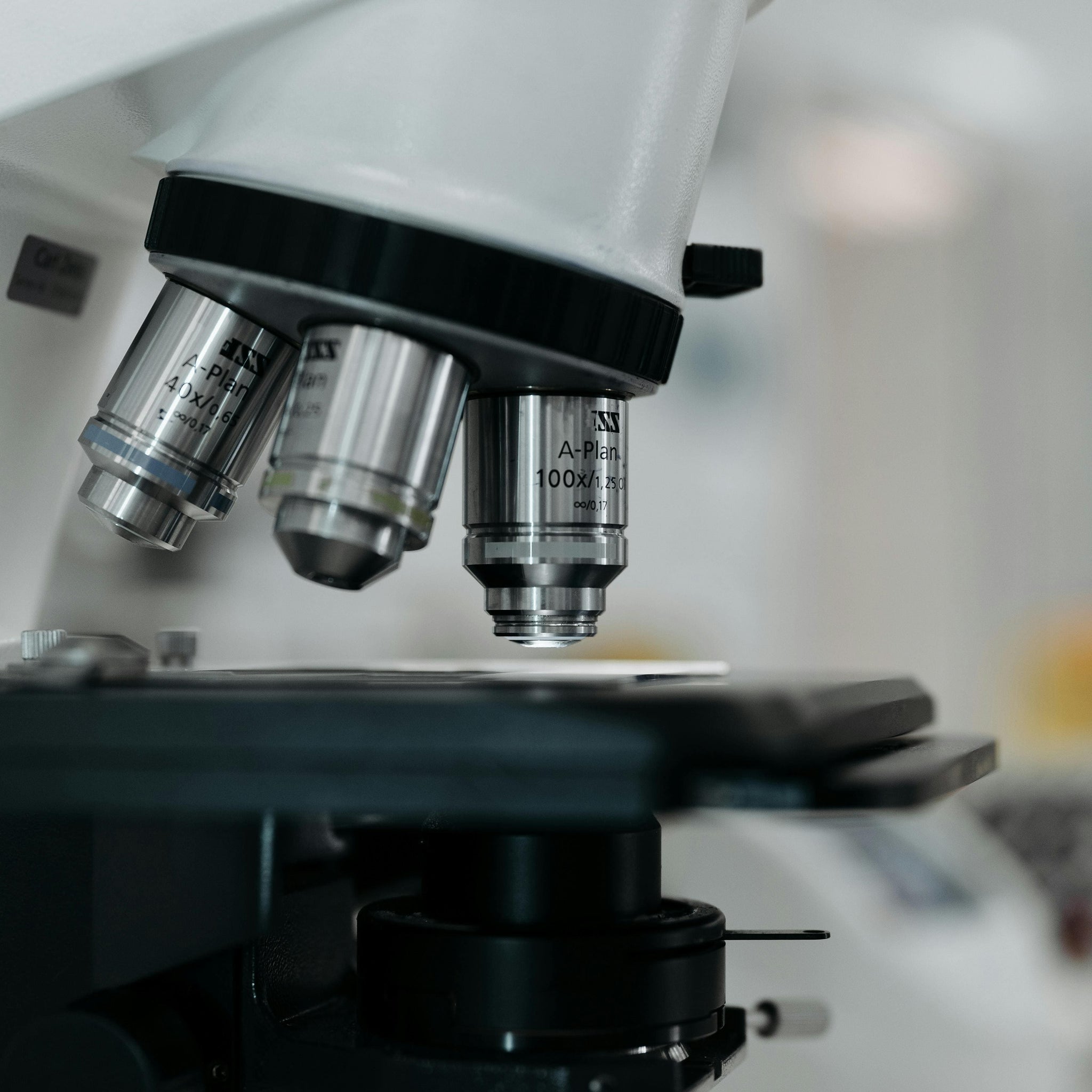 microscope close-up