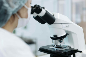 scientist looking through the eyepieces of a lmicroscope